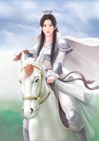 银色狐狸