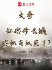 大秦:讓你修長城你把匈奴滅了?